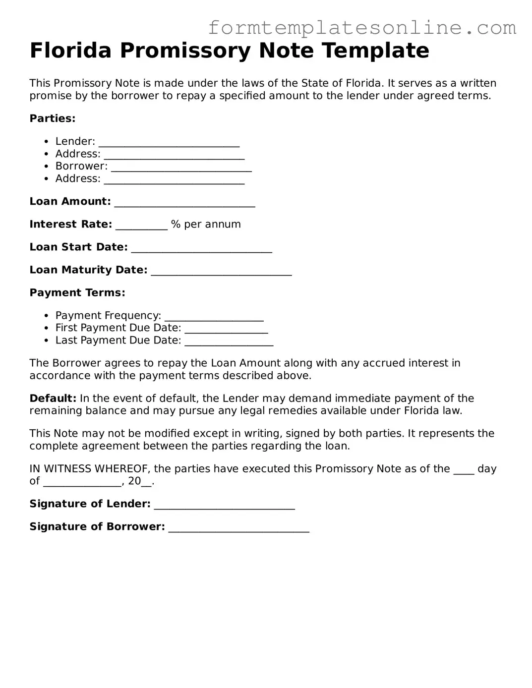 Valid  Promissory Note Form for Florida