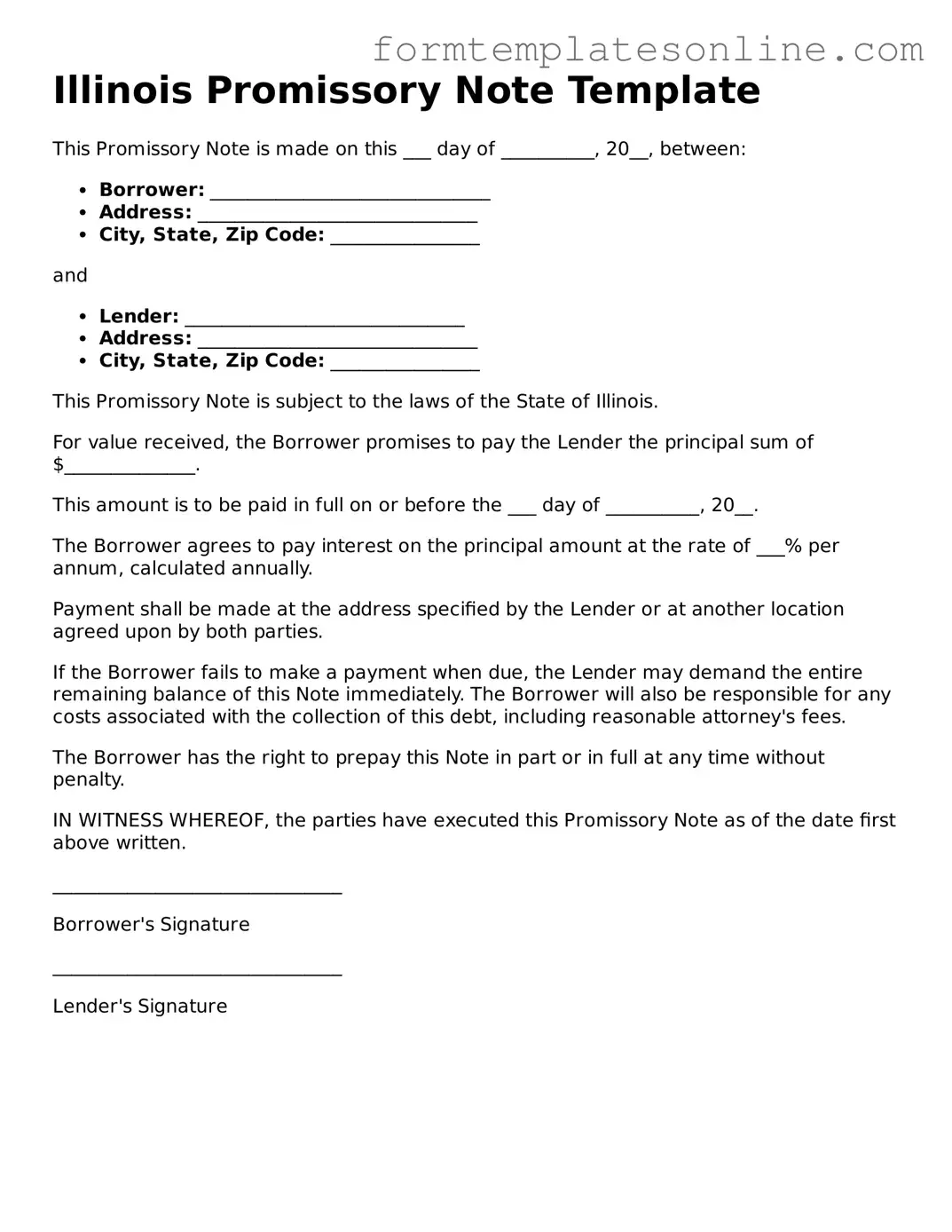 Valid  Promissory Note Form for Illinois