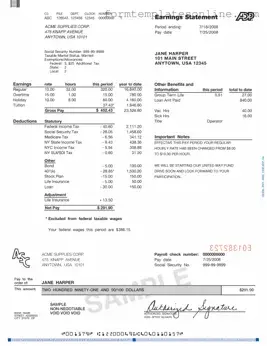Adp Pay Stub PDF Form