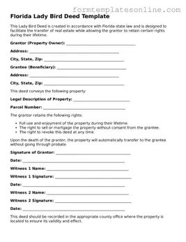 Valid  Lady Bird Deed Form for Florida