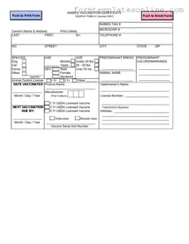 Rabies Certificate PDF Form