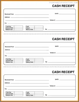 Cash Receipt PDF Form